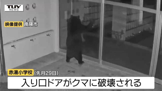 クマパトロール中の南陽市の職員が襲われ大ケガ　クマは今も捕獲されず　鶴岡市、山形市、天童市などでもクマ目撃相次ぐ（山形）|TBS NEWS DIG