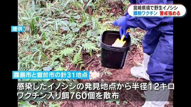 野生イノシシへの豚熱経口ワクチン緊急散布･説明会　鹿児島県|TBS NEWS DIG