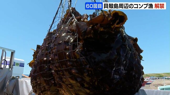 貝殻島周辺のコンブ漁解禁 節目の60回目　約180隻の漁船が出漁　漁獲枠2700トン…漁期は9月末まで|TBS NEWS DIG
