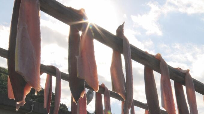 富をもたらす魚「フーヌイユ」　今月23日のまつりを前に水揚げ　沖縄・国頭村|TBS NEWS DIG