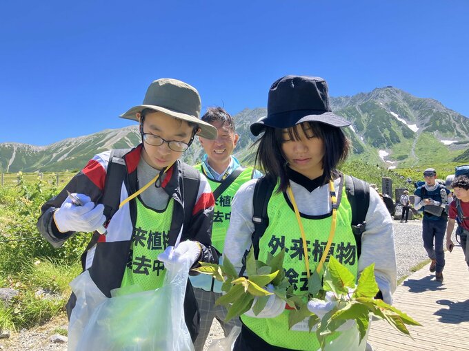 気温19度の別世界　雲上の立山で中学生が外来植物の除去活動 『山の日』を前に|TBS NEWS DIG