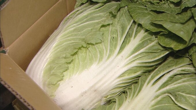 八百屋も思わず「ちょっと高すぎますね…」　ハクサイ一時『1250円』の衝撃　高止まり続く野菜価格いつまで…　|　青森のニュース│ATV NEWS│青森テレビ