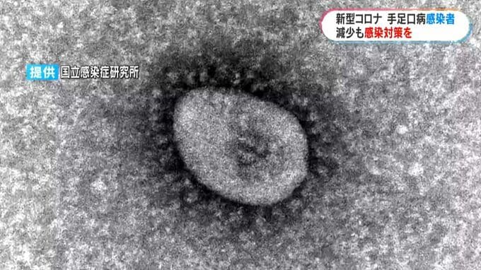 新型コロナ感染者　2週連続で減少　手足口病も減少　鹿児島　|　鹿児島のニュース｜MBC NEWS｜南日本放送