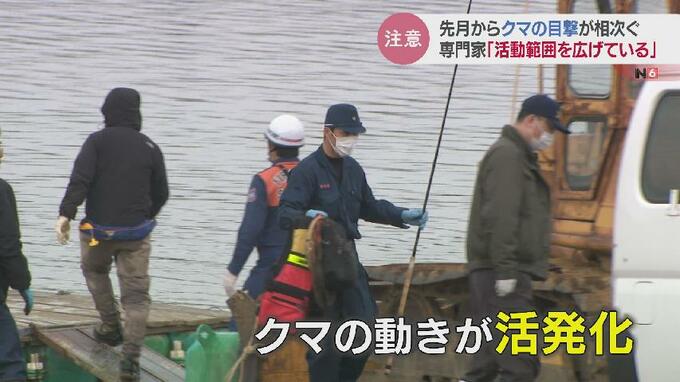 1日で5件「思わぬところにクマが」目撃が急増 繁殖期で行動範囲を拡大　富山|TBS NEWS DIG