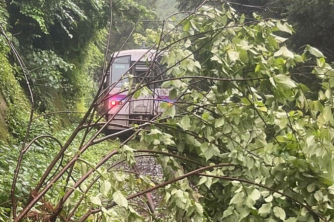 JR芸備線の比婆山駅～備後落合駅間で土砂が流入　大雨の影響か　備後西城駅～新見駅間で運転見合わせ（24日午後２時半時点）|TBS NEWS DIG
