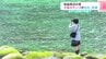 柏島周辺の海で大量のサンゴが白化・死滅　2024年の猛暑が影響か【高知・大月町】　|　高知のニュース・天気｜KUTV NEWS | KUTVテレビ高知