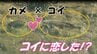 ほのぼの一転…“種族を超えたラブストーリー”　カメラが捉えた「コイに恋するカメ」の猛ダッシュ！ 三角関係も勃発!?  ロマンチックな映像の裏に隠された、「現実」とは（山形）　|　山形のニュース│TUYテレビユー山形