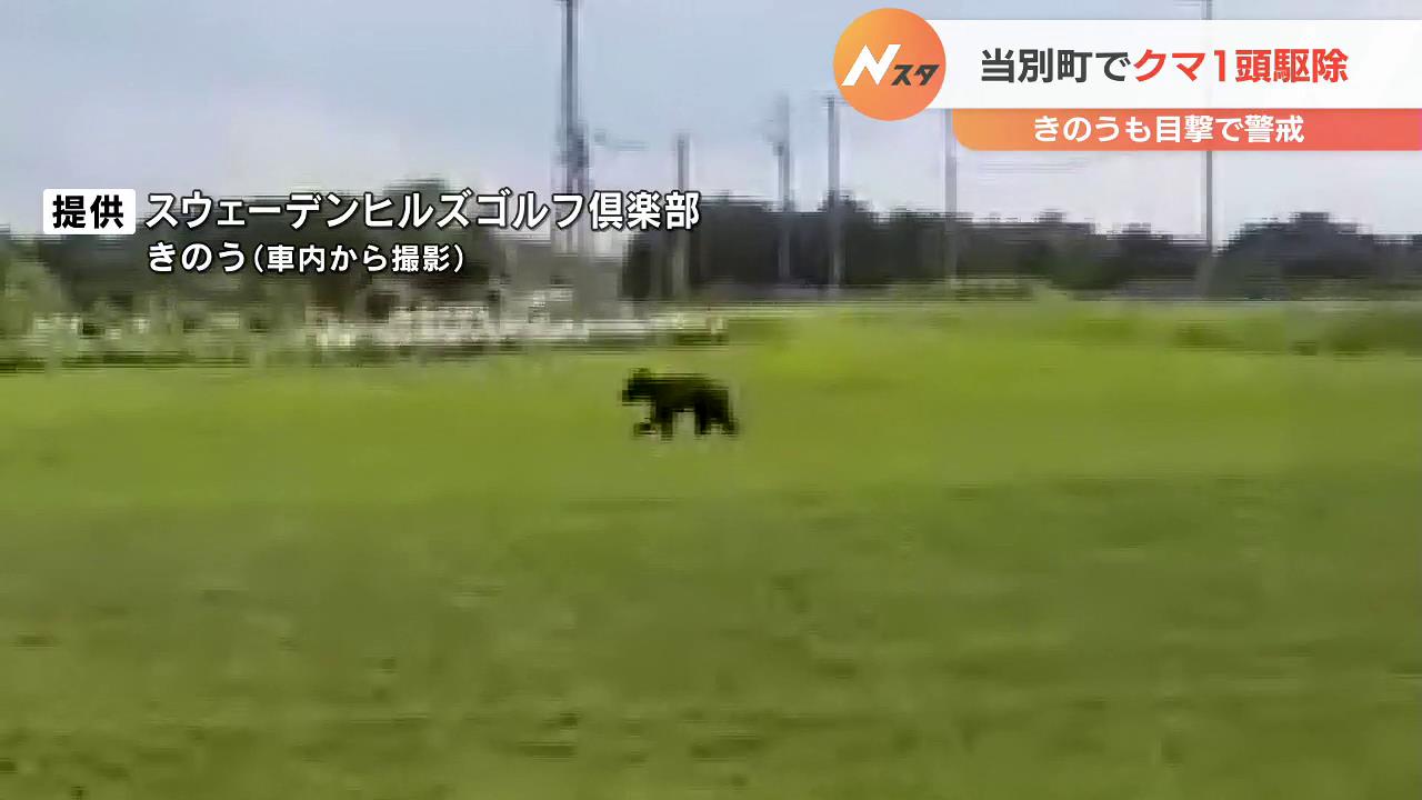 ゴルフ場に現れたクマ 翌日も現れ ハンターが出動 駆除される 北海道当別町 Tbs News Dig