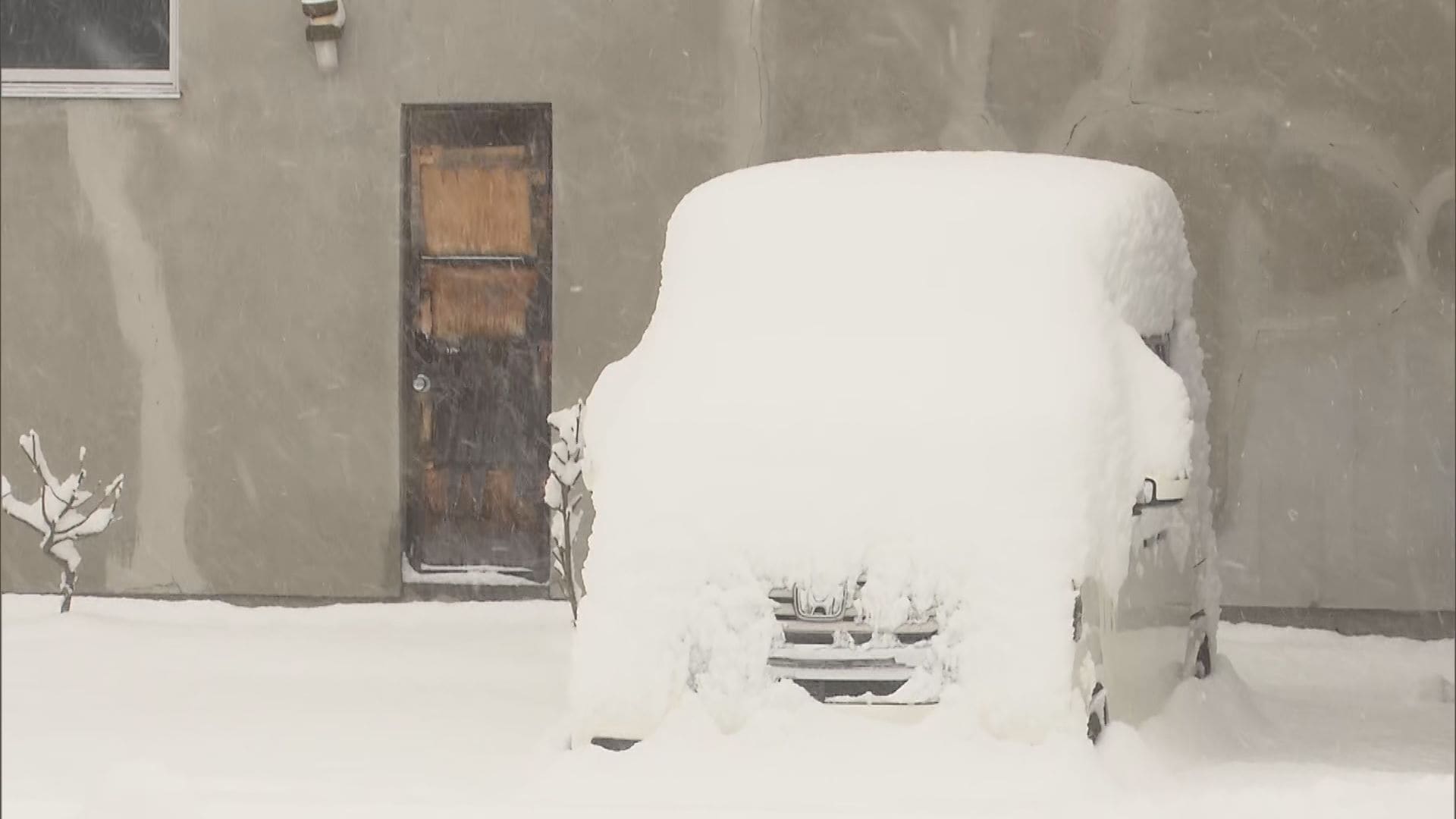 只見54センチ、檜枝岐53センチの積雪「水を含んでいて重い」雪かきも