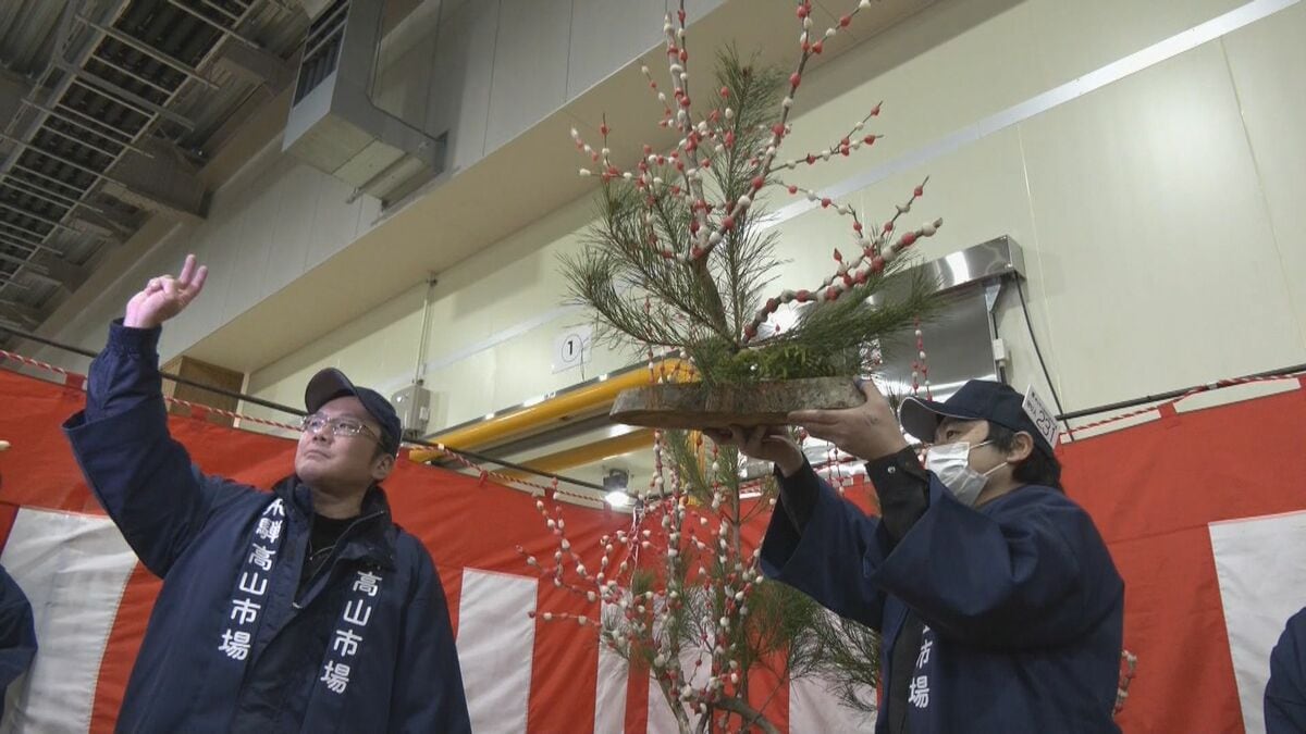 1株6万円のものも 岐阜･飛騨の正月を彩る｢花もち｣の競り市 クマの出没相次ぎ入荷数は去年の半分