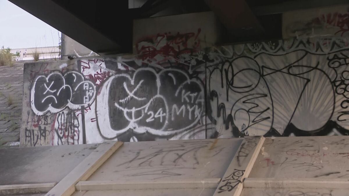 職務質問しようとした警察官を突き飛ばした疑い 自衛官の男を現行犯逮捕 ｢スプレーで落書きをしている…｣との通報で駆け付けた警察官に…愛知・江南市