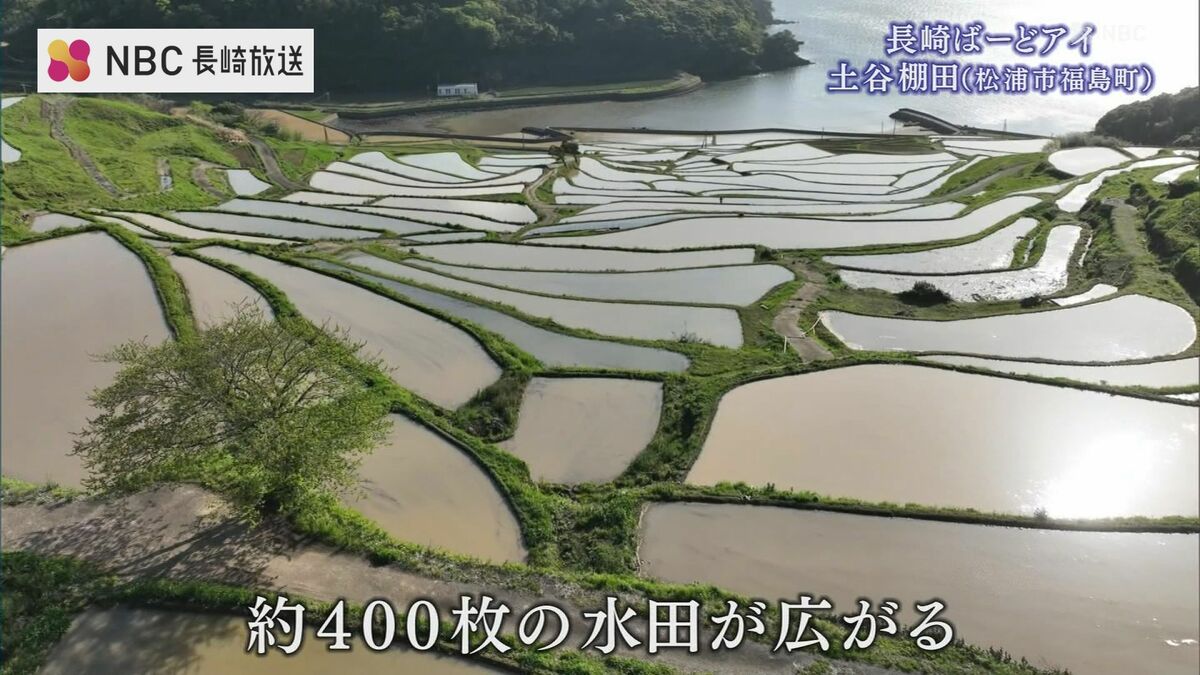 茜色に染まる「鏡」の絶景 一日わずか数十分…約400枚の棚田が織り成す