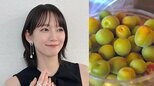 【 吉岡里帆 】　今年の目標『梅仕事』に初挑戦　「出来上がりが楽しみだ...ふふふ〜」　梅干し・梅味噌など6種類を1日がかりで本格仕込み|TBS NEWS DIG
