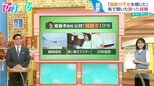 「やばい」の言い換え、いくつ言える?専門家が伝授する『国語力』アップ法【ひるおび】|TBS NEWS DIG