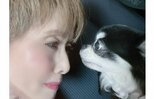 【 小柳ルミ子 】　愛犬・ルルの死を悼み　松田聖子さんからお花が届いたことを報告　「心から感謝です　涙が止まりません」|TBS NEWS DIG