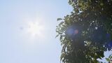 きょう(27日)も暑い 保育園では熱中症対策としてミストを噴射 岐阜ではことし初めて熱中症警戒アラート 名古屋で予想最高気温は38℃ | 名古屋・愛知・岐阜・三重のニュース【CBC news】 | CBC web
