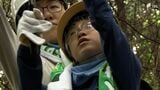 「持続可能な森づくりを」日本生命が33年継続する育樹活動 100人超の参加者が枝切り落とす=静岡県富士市|TBS NEWS DIG