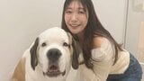 【 穂川果音 】「大きなわんちゃん」大型犬たちと癒やしのひととき　フォロワー “犬の方が癒されてる” |TBS NEWS DIG
