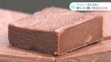 「チョコレート業界に革新を」　菓子メーカー開発　“世界を変えるカカオ”|TBS NEWS DIG