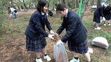「名刺を配るだけで世界遺産のアピールに」枯れた松葉を名刺やカレンダーに 三保松原の“厄介者”を再生【SDGs】 | 静岡のニュース | SBSNEWS | 静岡放送