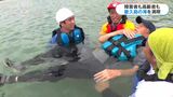 障害者や高齢の人も海を海を楽しむ 屋久島初のプロジェクト | 鹿児島のニュース|MBC NEWS|南日本放送