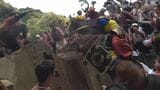 多度大社の上げ馬神事で三重県教委が勧告 馬への威嚇行為禁止 人馬ともに安全確保を 「動物虐待」批判踏まえ勧告は2度目 | 名古屋・愛知・岐阜・三重のニュース【CBC news】 | CBC web