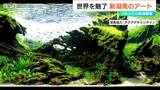 “水景クリエイター” 故・天野尚氏が創り出したアート『ネイチャーアクアリウム』の魅力 |TBS NEWS DIG