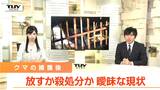クマを放す、殺処分する、どう決める? 県内で相次ぐクマの出没…捕獲後の現状と課題を専門家に聞く | 山形のニュース│TUYテレビユー山形