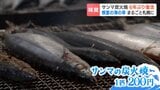 豊漁でサンマ1匹200円、名物“炭火焼”6年ぶり復活『まるごと根室直送市』今年はイカもカニも好調「根室のうまいは日本一」|TBS NEWS DIG