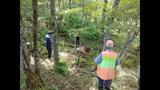 速報 「OSO18」に襲われたか…牧場で乳牛1頭の死骸見つかる 周辺にクマの体毛 北海道標茶町 | 北海道のニュース|HBC北海道放送