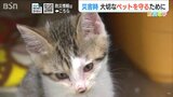 「ペットの命を守るのは飼い主」今災害が起きたら 大切なペットと“一緒に避難”できますか?『ペット防災4カ条』 | 新潟のニュース・天気|BSN NEWS|BSN新潟放送
