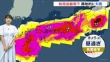 【予報士解説】東京都心でも天気急変のおそれ 発雷確率は広い範囲で高く、市街地でも雷雲が急発達|TBS NEWS DIG