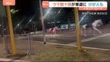 ローマで馬が逃げ出す 数十頭が道路を疾走 パレードのリハーサルで花火に驚いたか 馬から振り落とされた1人が重傷 イタリア|TBS NEWS DIG