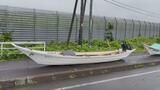 【速報】北海道利尻島沖でウニ漁の漁船4隻が転覆 88歳の男性1人が死亡、2人負傷し1人無事 北海道利尻富士町 | 北海道のニュース|HBC北海道放送