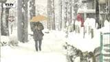 大雪情報 17日ごろから降雪量が平年の200%以上の予報も 北陸・東海・関東甲信の今後の早期天候情報 気象庁 | 山形のニュース│TUYテレビユー山形