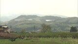 先達山のメガソーラー「工事確認完了先送りを」市民団体が県に要望 福島 | 福島のニュース│TUF