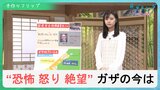 新生児も命の危険にさらされるガザの病院…人々はなぜ逃げられないのか？「天井のない監獄」と“500㎞の地下トンネル”とは？ 【サンデーモーニング|TBS NEWS DIG