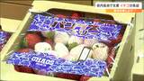 レアな「パールホワイト」も!地元イチゴ一堂に思わず箱買い 仙台 | 宮城のニュース│tbc NEWS│tbc東北放送