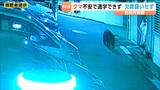 「クマ出没で通学できない...」場合の方針が決まる『校長判断で欠席扱いせず』仙台市教育委員会 | 宮城のニュース│tbc NEWS│tbc東北放送