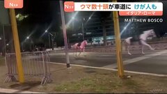 ローマで馬が逃げ出す 数十頭が道路を疾走　パレードのリハーサルで花火に驚いたか 馬から振り落とされた1人が重傷　イタリア| TBS CROSS DIG with Bloomberg