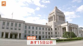 「政治家やりたいです」女性問題で議員辞職…あの裏金隠蔽暴露の前議員が地元で“禊ぎ”の選挙戦　有権者を前に恨み節も|TBS NEWS DIG
