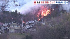 燃え広がった炎が住宅地まで迫る 愛媛・今治市の山林火災は延焼続く 「風が吹いたらどちらに向くのか…」避難の住民は不安の一夜過ごす|TBS NEWS DIG