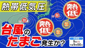 新たな【台風のたまご】熱帯低気圧2つも 次々と台風発生か? 台風13号は中国大陸へ 15号は東北地方へ【雨風シミュレーション19日(水)まで/お盆休み天気予報】気象庁進路予想 気象庁予想天気図「台風情報」|TBS NEWS DIG