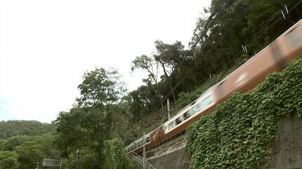 倒木による列車の運転見合わせ増える→JR西日本がその対策「沿線の集中