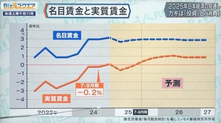 2025年日本経済の課題と展望 人手不足による倒産と物価高は解消される