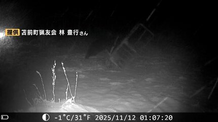 ヒグマ速報】カメラが捉えた…400キロ超の巨大ヒグマか シカ肉ねらい300