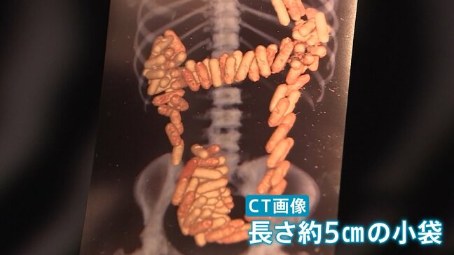 【緊迫】薬物密輸“水際の攻防戦”に密着 「なぜ罠にはめようとするの!?」コカイン運び屋の女が焦る“たったひとつの理由”とは 東京税関|TBS NEWS DIG