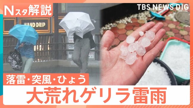 「落雷・突風・ひょう」大気不安定で各地でゲリラ雷雨に…天気が急変する予兆は?【Nスタ解説】|TBS NEWS DIG