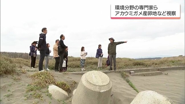 環境問題の専門家などで構成「MRTキープみやざきビューティフル審議会」 委員がアカウミガメの産卵地を視察|TBS NEWS DIG