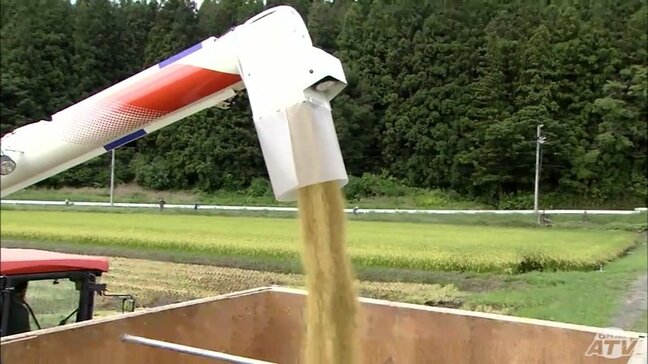 新米の卸値が高騰　青森県産米「まっしぐら」の相対取引価格は前年から45%高くなり過去最高値に　初めて3万円を突破|TBS NEWS DIG